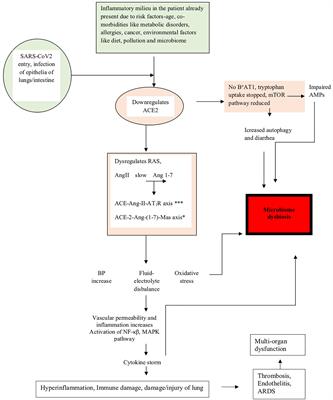 Role of the Microbiome in the Pathogenesis of COVID-19